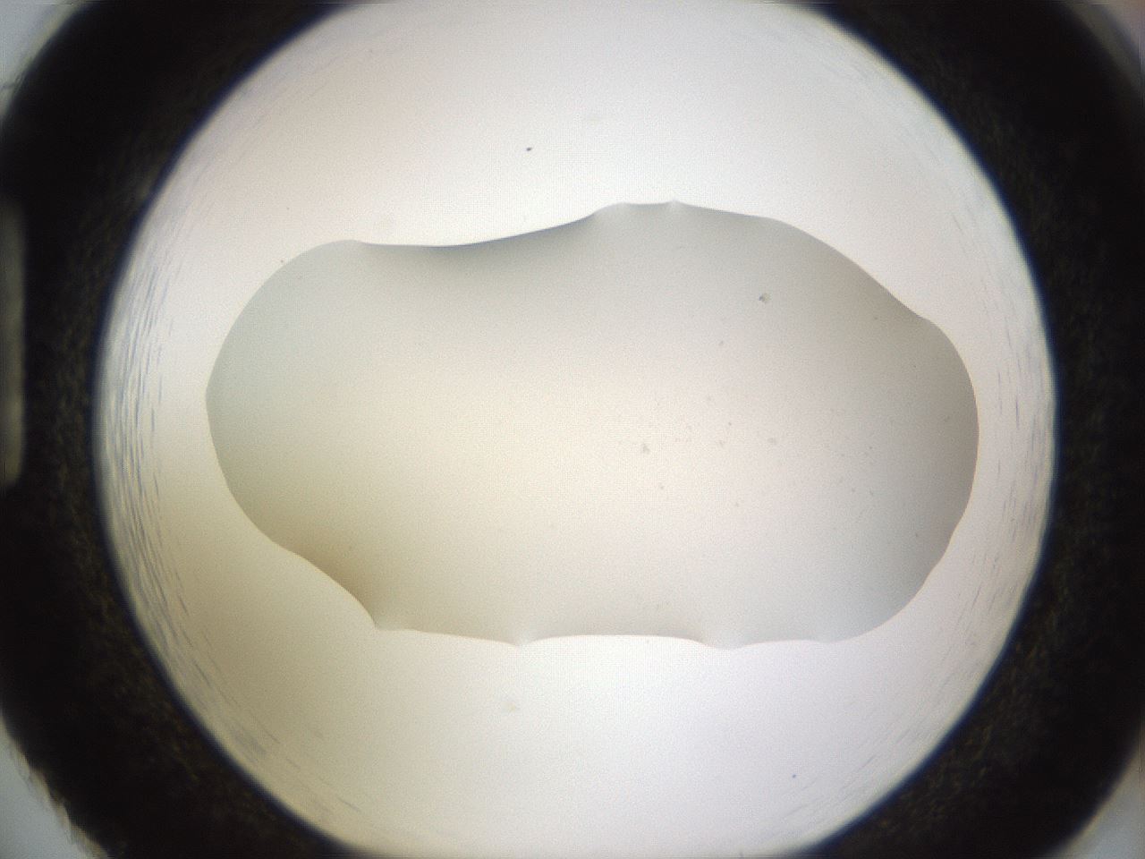 folderID461_plateID1461_batchID5591_wellNum86_profileID1_d1_r92626_ef.jpg