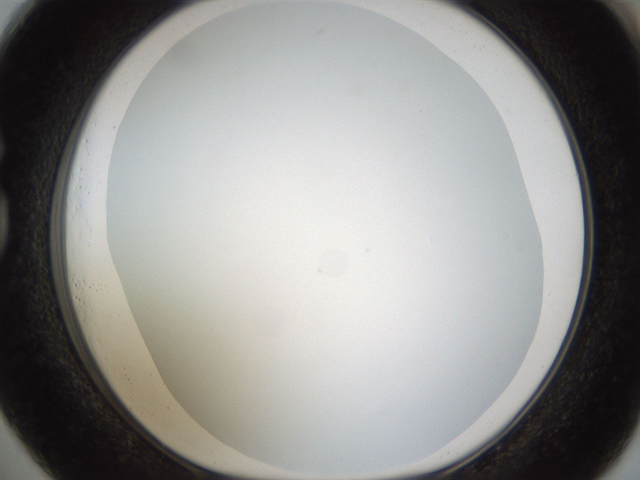 folderID206_plateID1206_batchID3677_wellNum73_profileID1_d1_r67088_ef.jpg