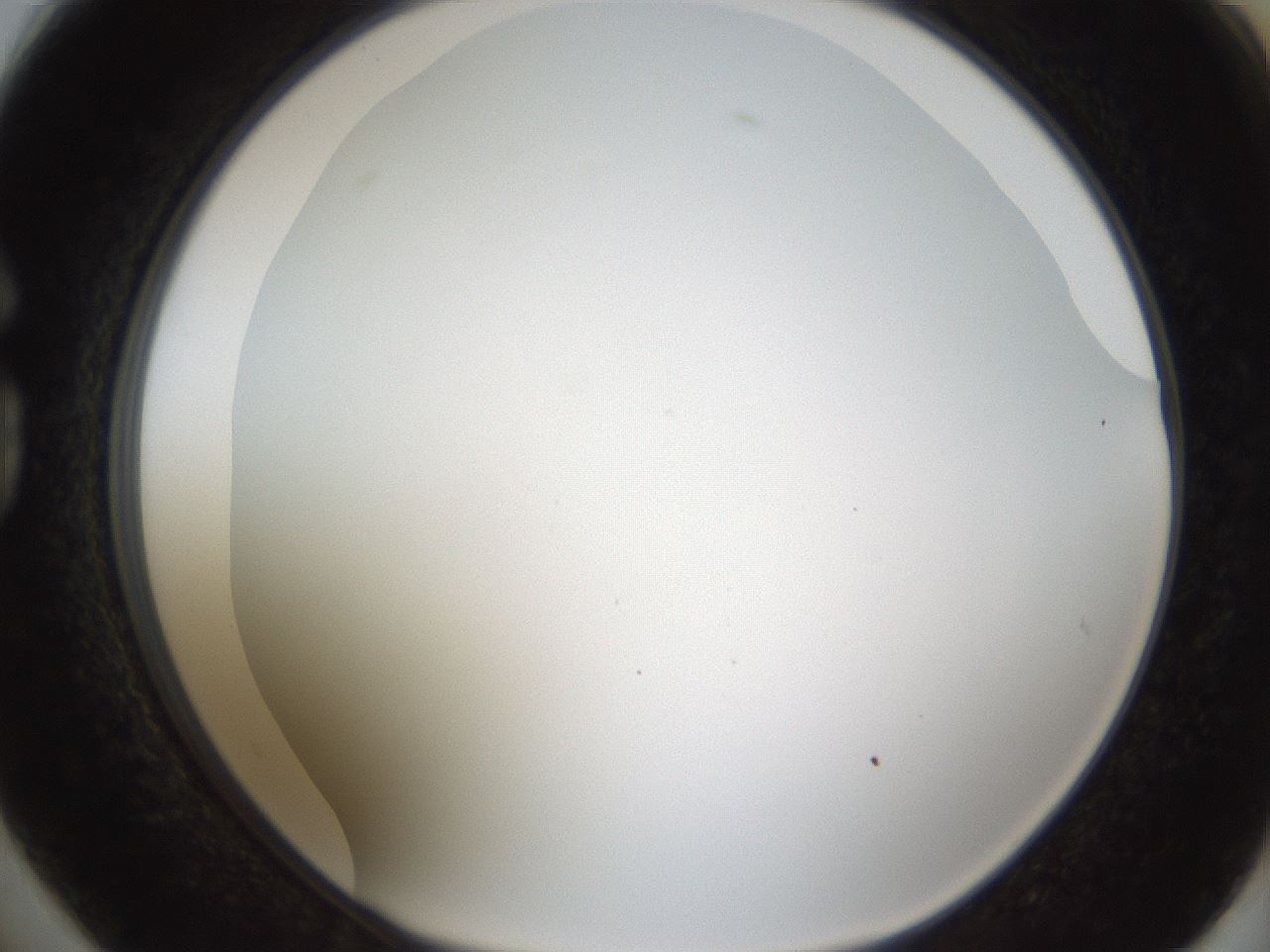 folderID206_plateID1206_batchID3677_wellNum74_profileID1_d1_r67090_ef.jpg