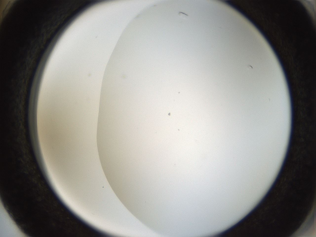 folderID206_plateID1206_batchID3677_wellNum74_profileID1_d2_r67091_ef.jpg