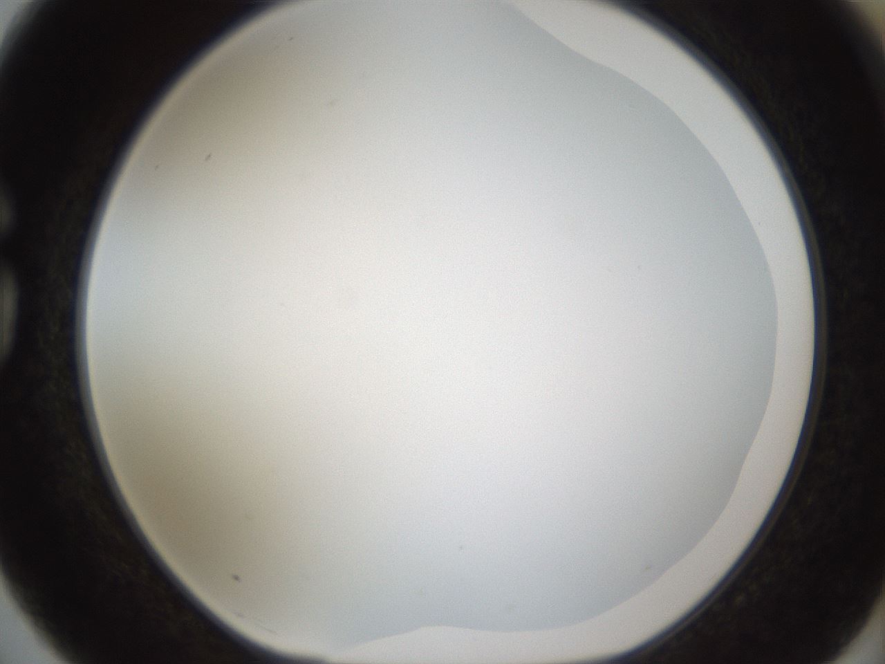 folderID206_plateID1206_batchID3677_wellNum75_profileID1_d1_r67092_ef.jpg