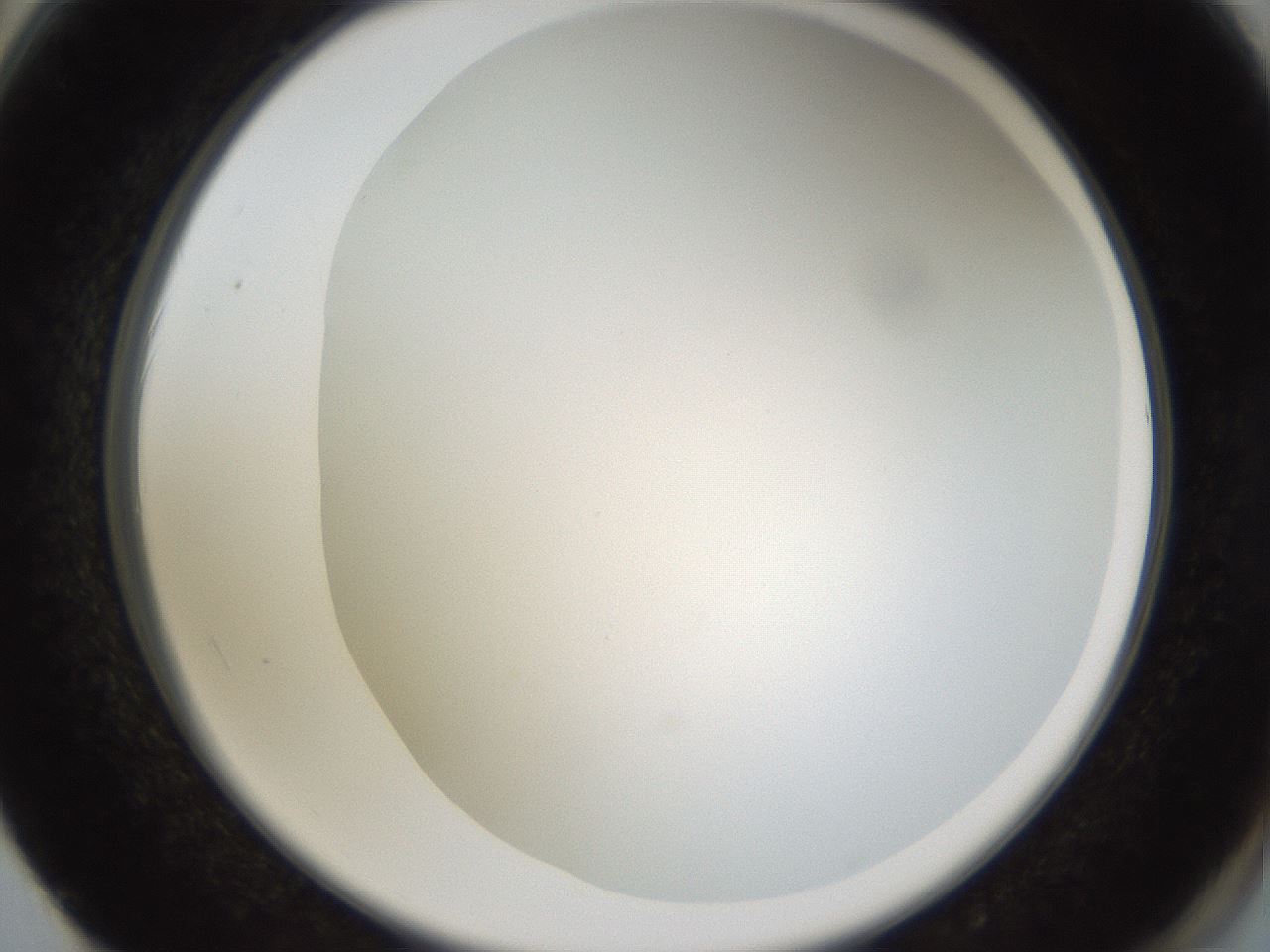 folderID206_plateID1206_batchID3631_wellNum62_profileID1_d2_r67067_ef.jpg