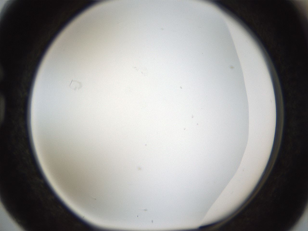 folderID206_plateID1206_batchID3631_wellNum76_profileID1_d1_r67094_ef.jpg