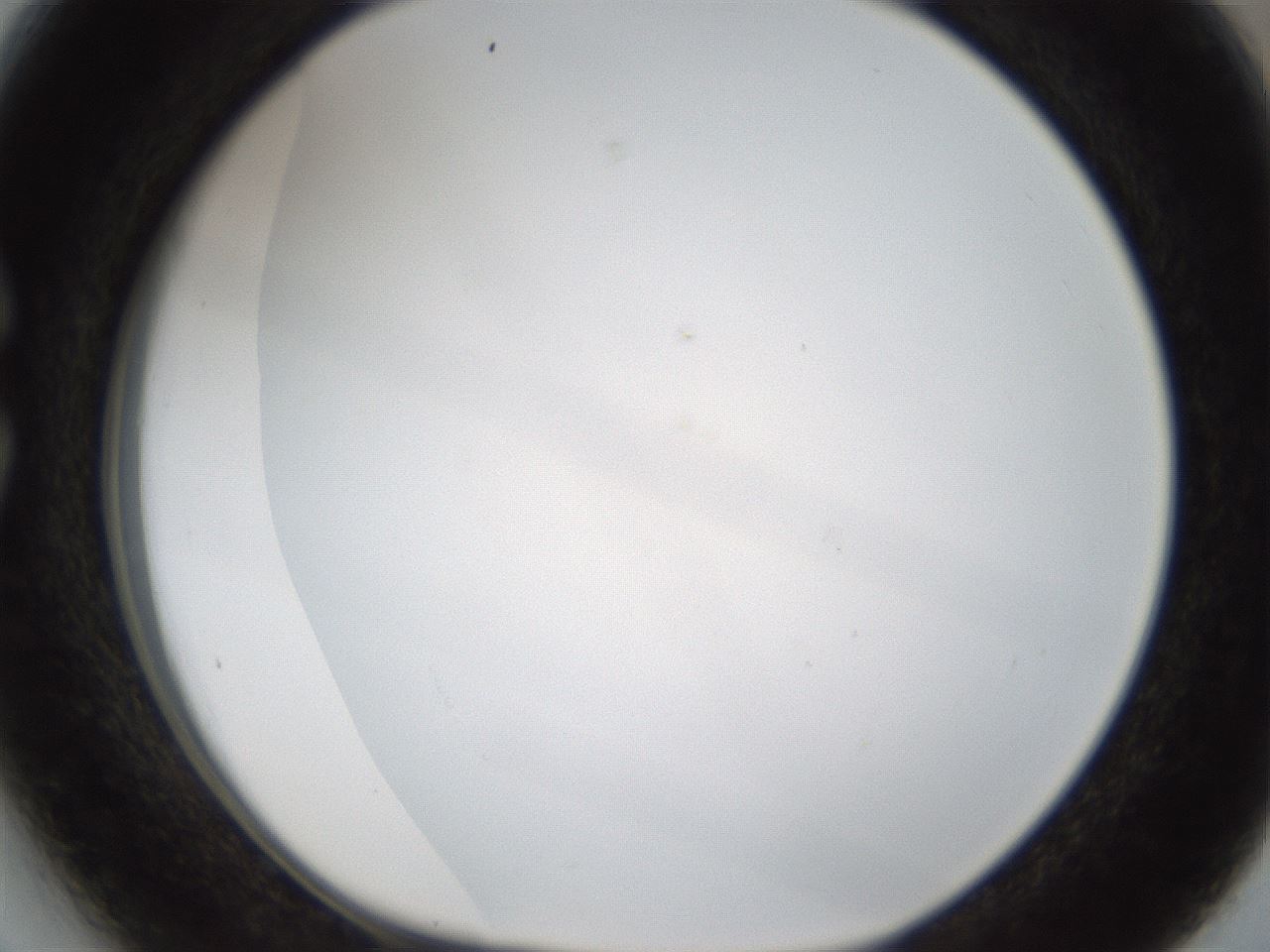 folderID206_plateID1206_batchID3677_wellNum27_profileID1_d1_r66996_ef.jpg