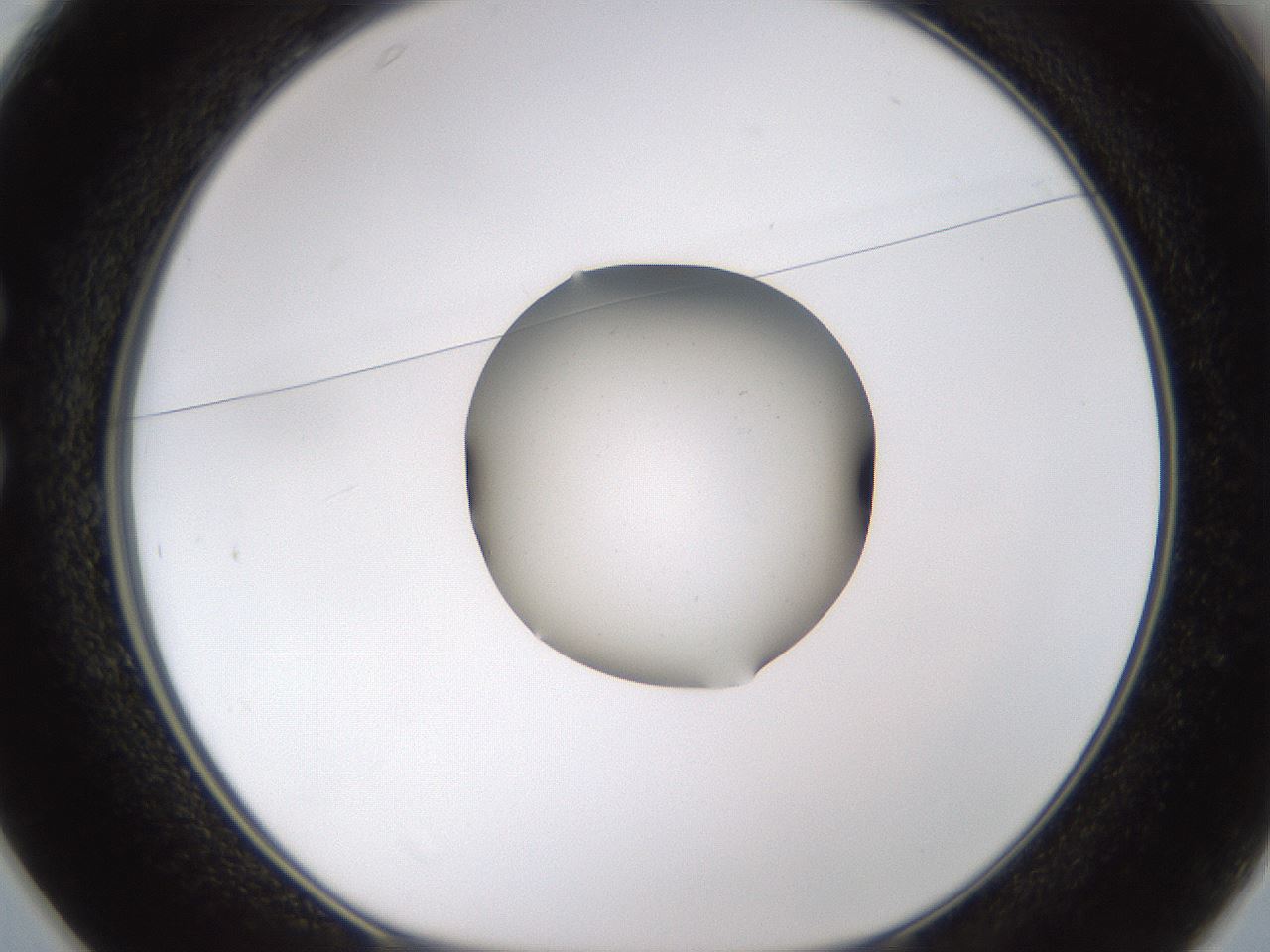 folderID462_plateID1462_batchID5592_wellNum25_profileID1_d1_r92661_ef.jpg