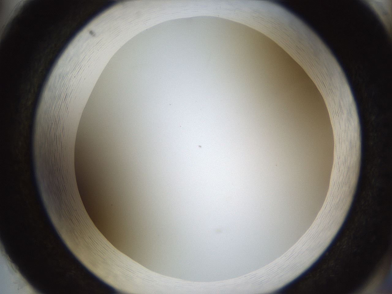 folderID206_plateID1206_batchID3677_wellNum86_profileID1_d2_r67115_ef.jpg
