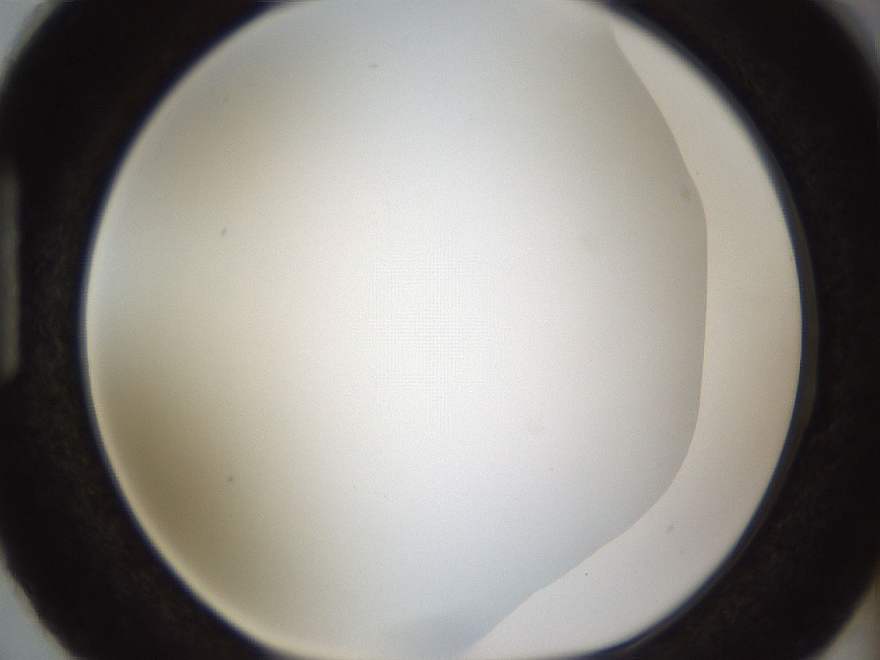 folderID206_plateID1206_batchID3677_wellNum87_profileID1_d1_r67116_ef.jpg