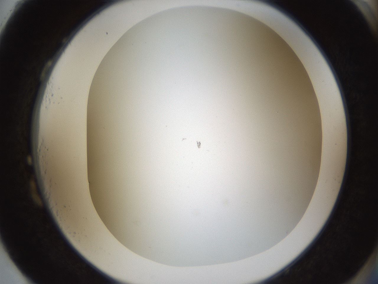 folderID206_plateID1206_batchID3677_wellNum87_profileID1_d2_r67117_ef.jpg