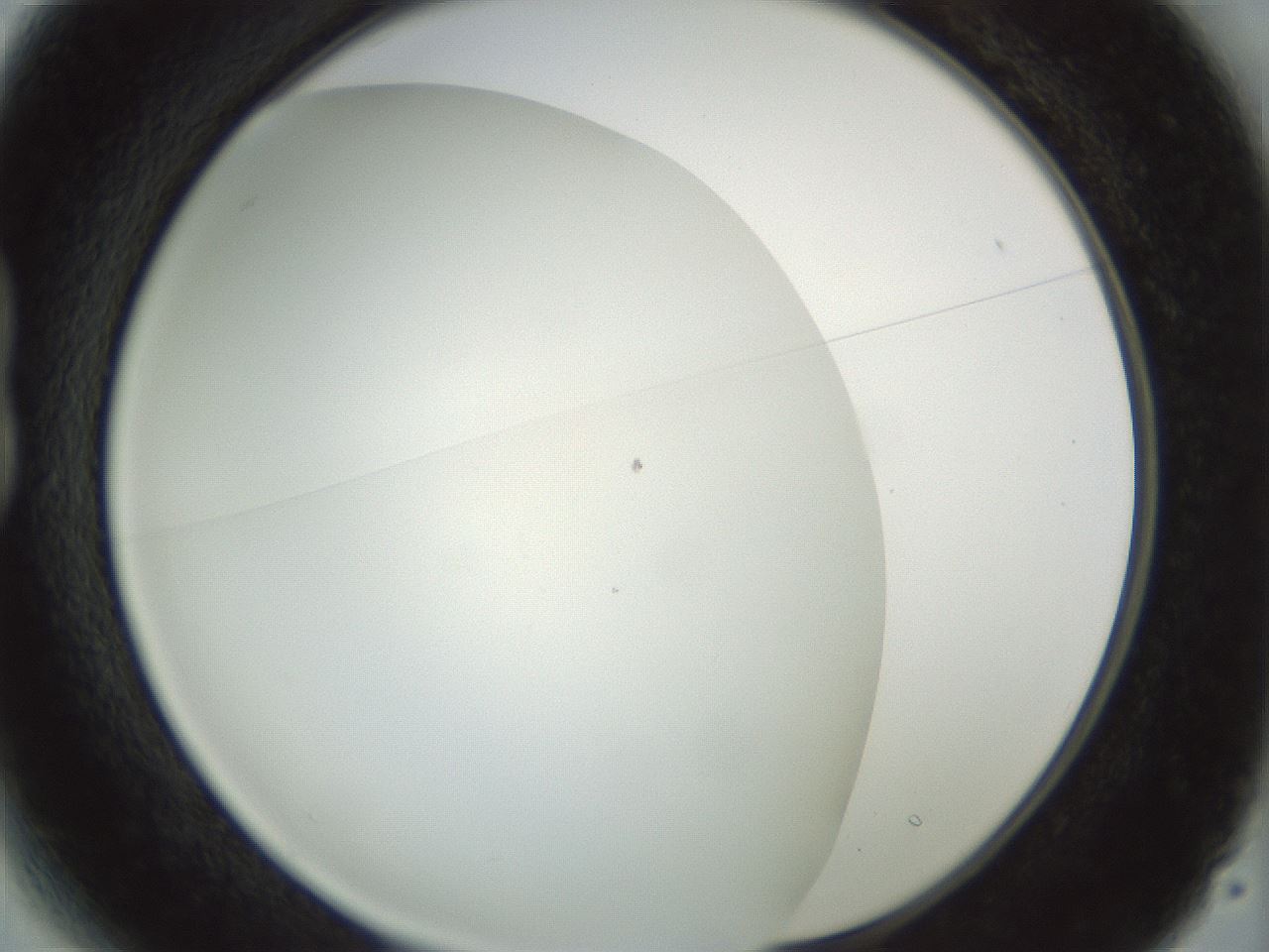 folderID207_plateID1207_batchID3655_wellNum13_profileID1_d1_r67640_ef.jpg