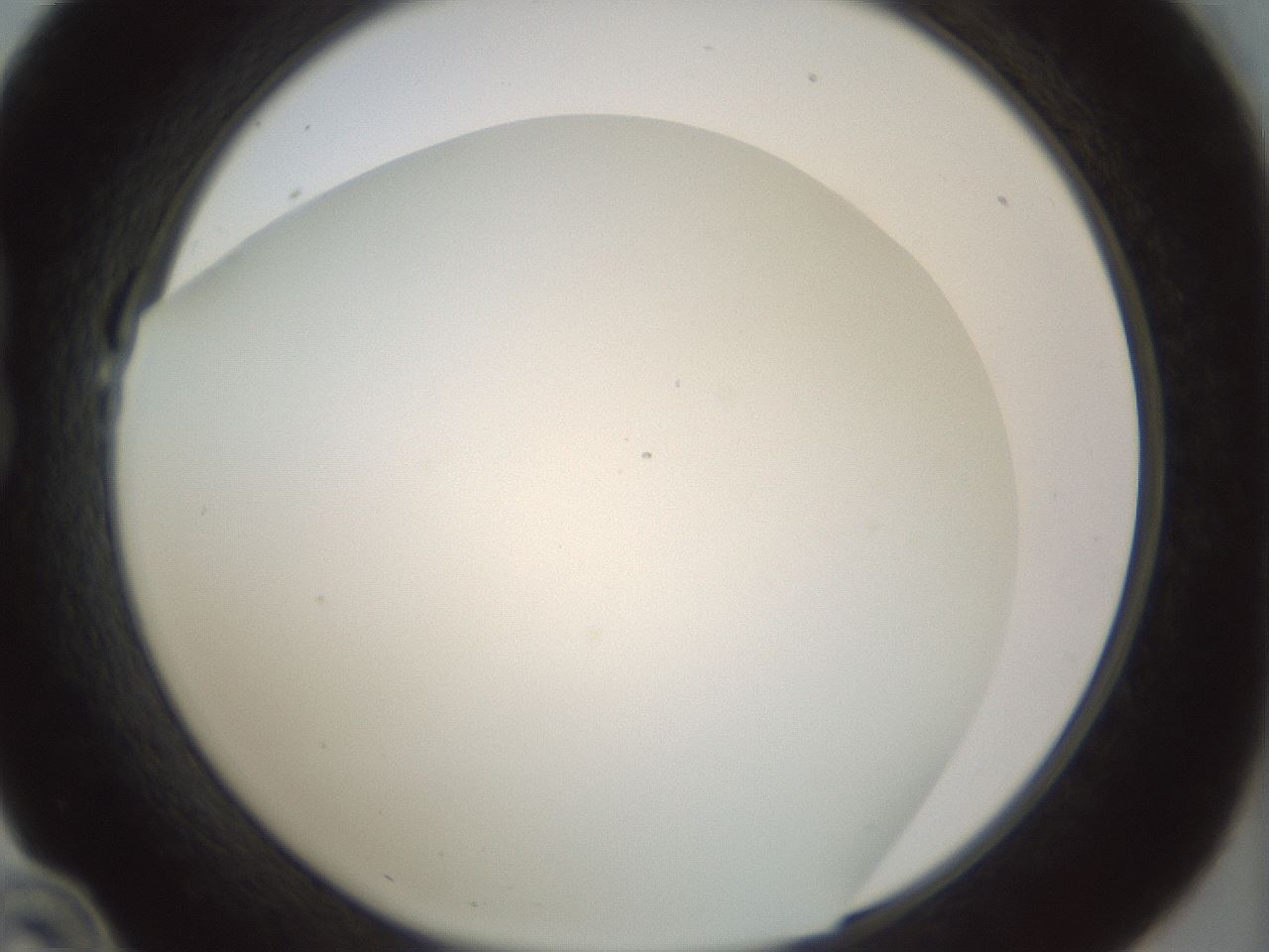 folderID207_plateID1207_batchID3655_wellNum22_profileID1_d1_r67658_ef.jpg