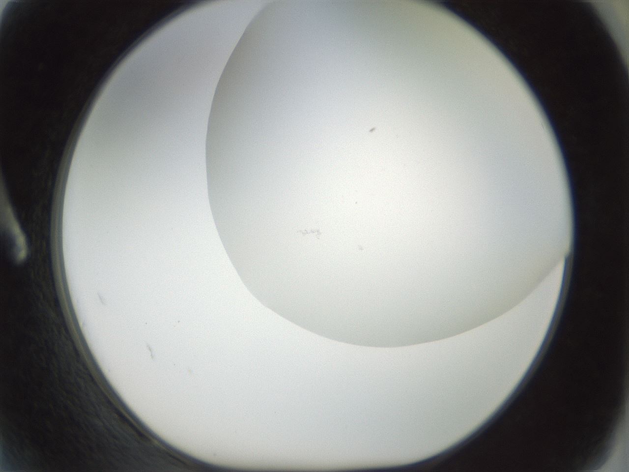 folderID207_plateID1207_batchID3655_wellNum2_profileID1_d1_r67618_ef.jpg