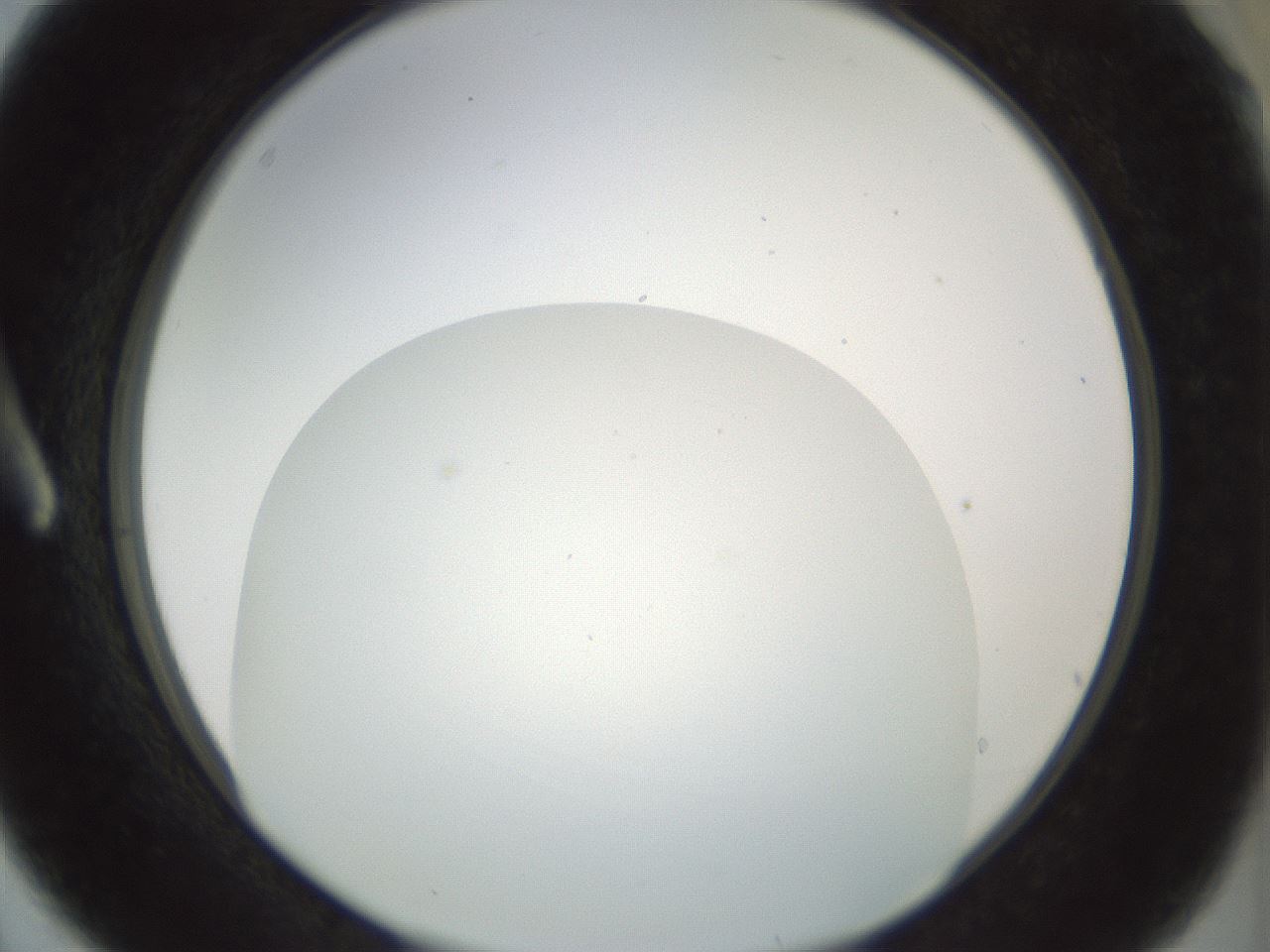 folderID207_plateID1207_batchID3655_wellNum3_profileID1_d1_r67620_ef.jpg