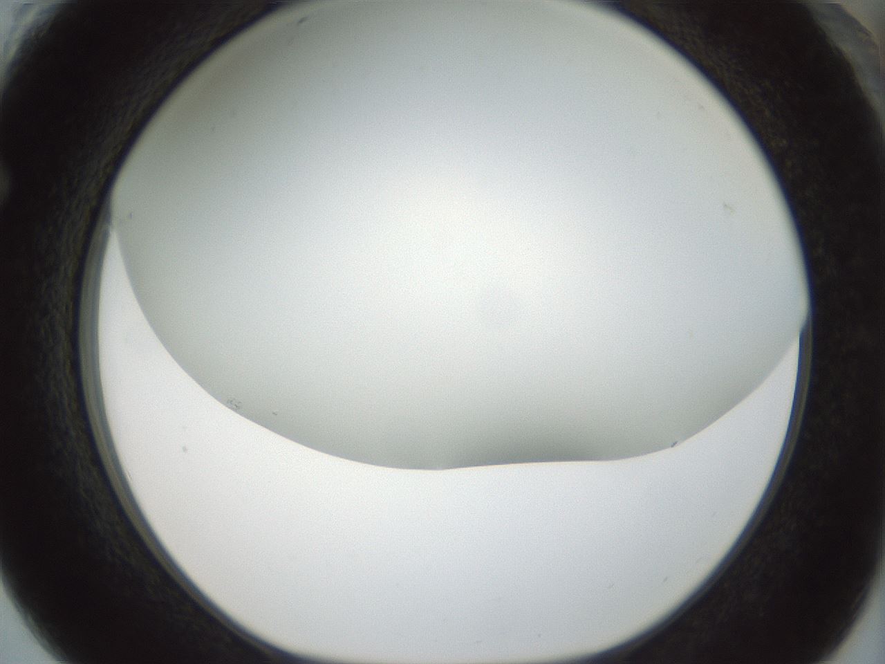 folderID207_plateID1207_batchID3655_wellNum61_profileID1_d1_r67736_ef.jpg