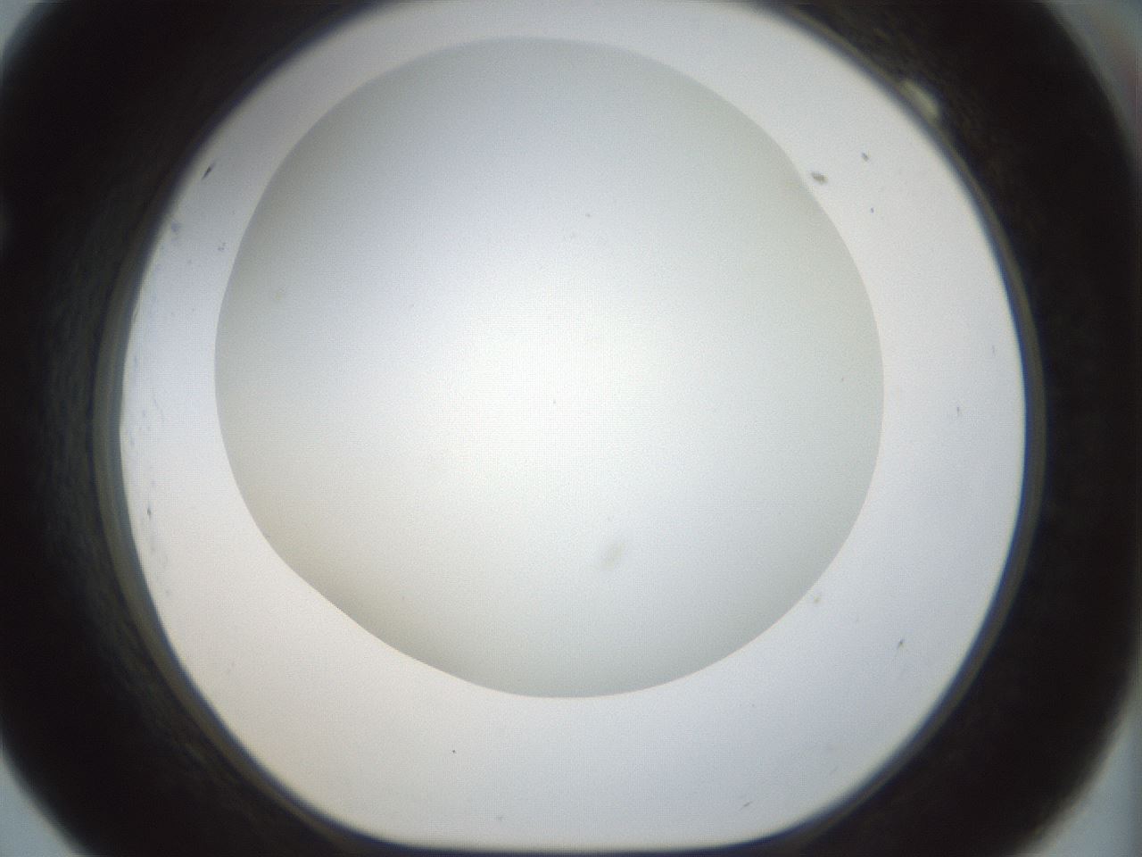 folderID207_plateID1207_batchID3655_wellNum69_profileID1_d1_r67752_ef.jpg