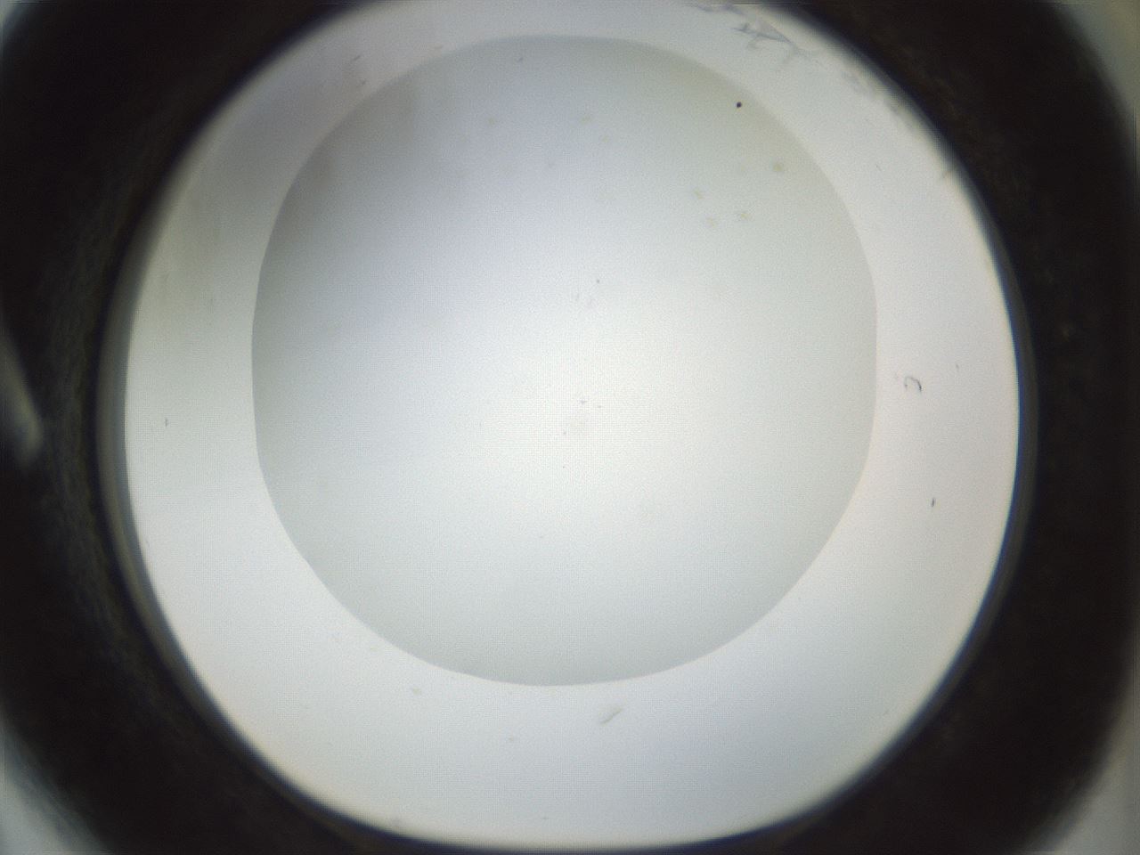 folderID207_plateID1207_batchID3655_wellNum6_profileID1_d1_r67626_ef.jpg