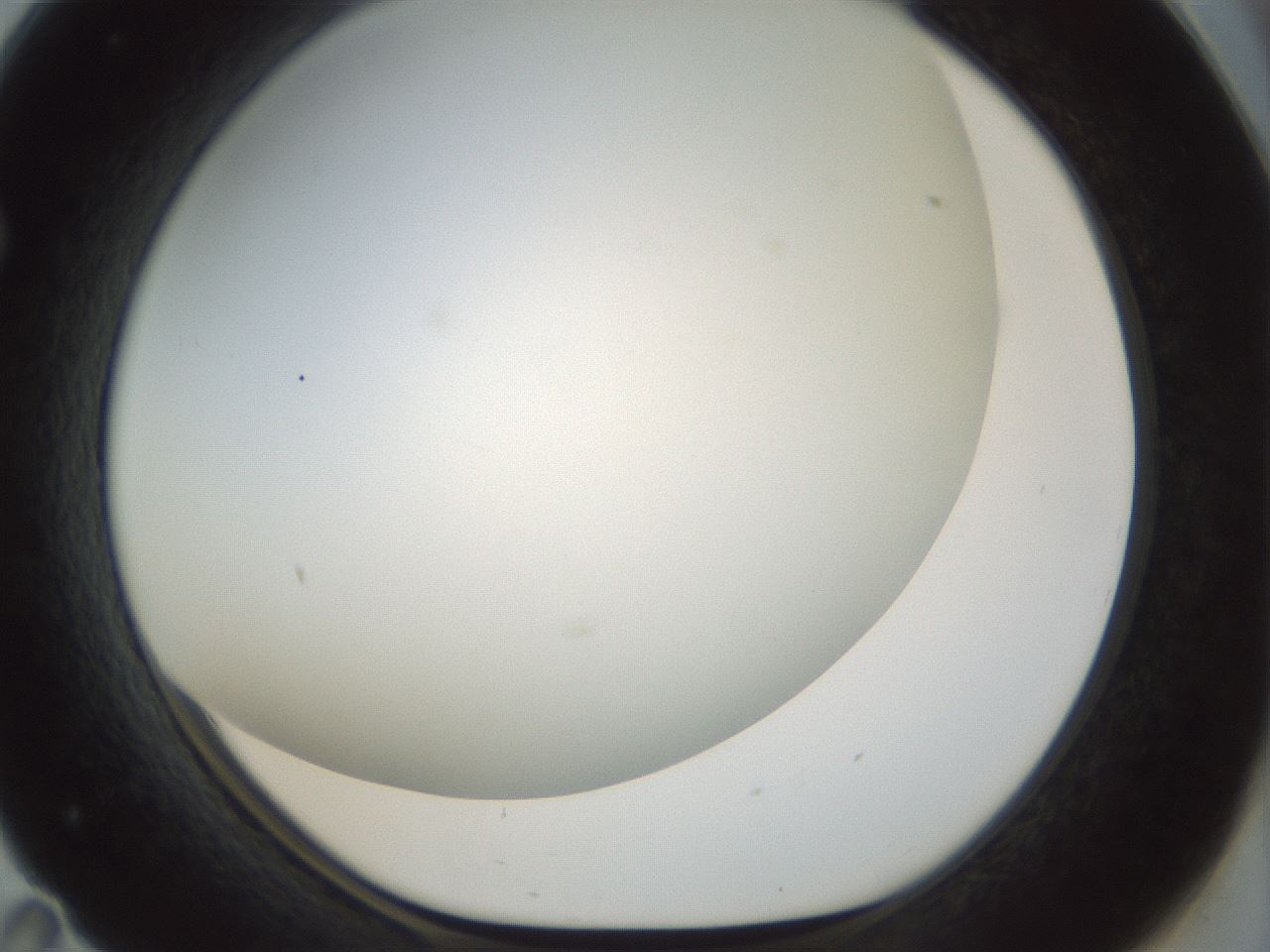 folderID207_plateID1207_batchID3655_wellNum71_profileID1_d1_r67756_ef.jpg