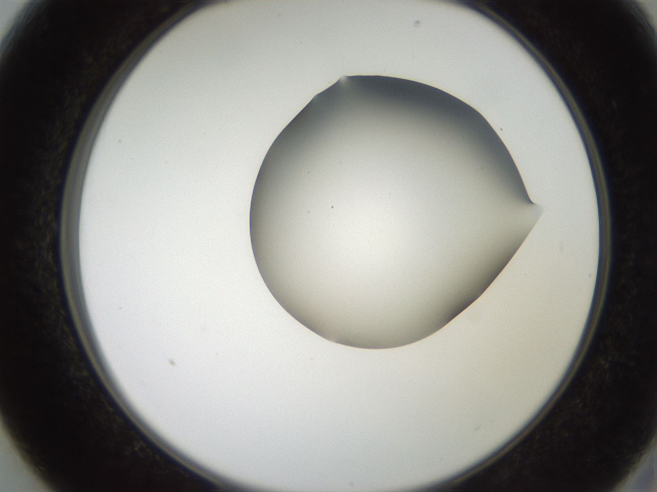 folderID207_plateID2207_batchID10014_wellNum13_profileID1_d2_r150160_ef.jpg