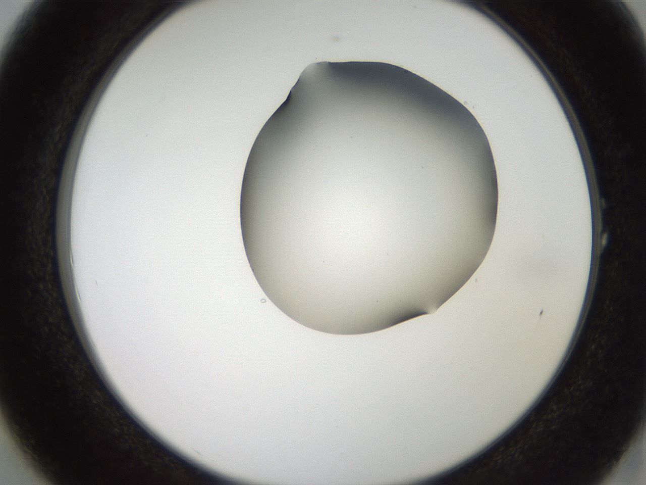 folderID207_plateID2207_batchID10014_wellNum1_profileID1_d2_r150136_ef.jpg