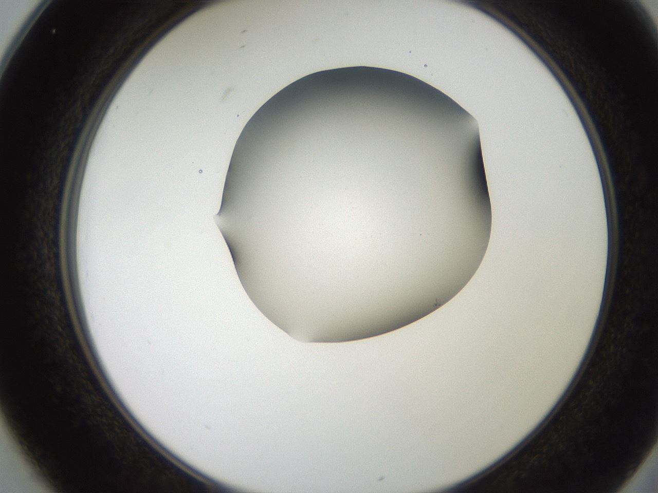 folderID207_plateID2207_batchID10014_wellNum25_profileID1_d2_r150184_ef.jpg