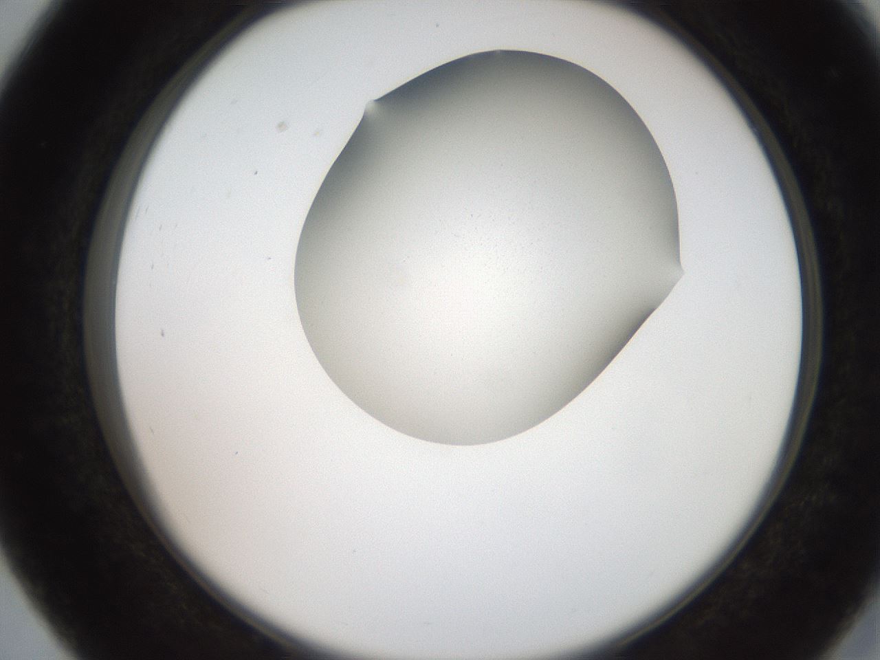 folderID207_plateID2207_batchID10014_wellNum27_profileID1_d2_r150188_ef.jpg