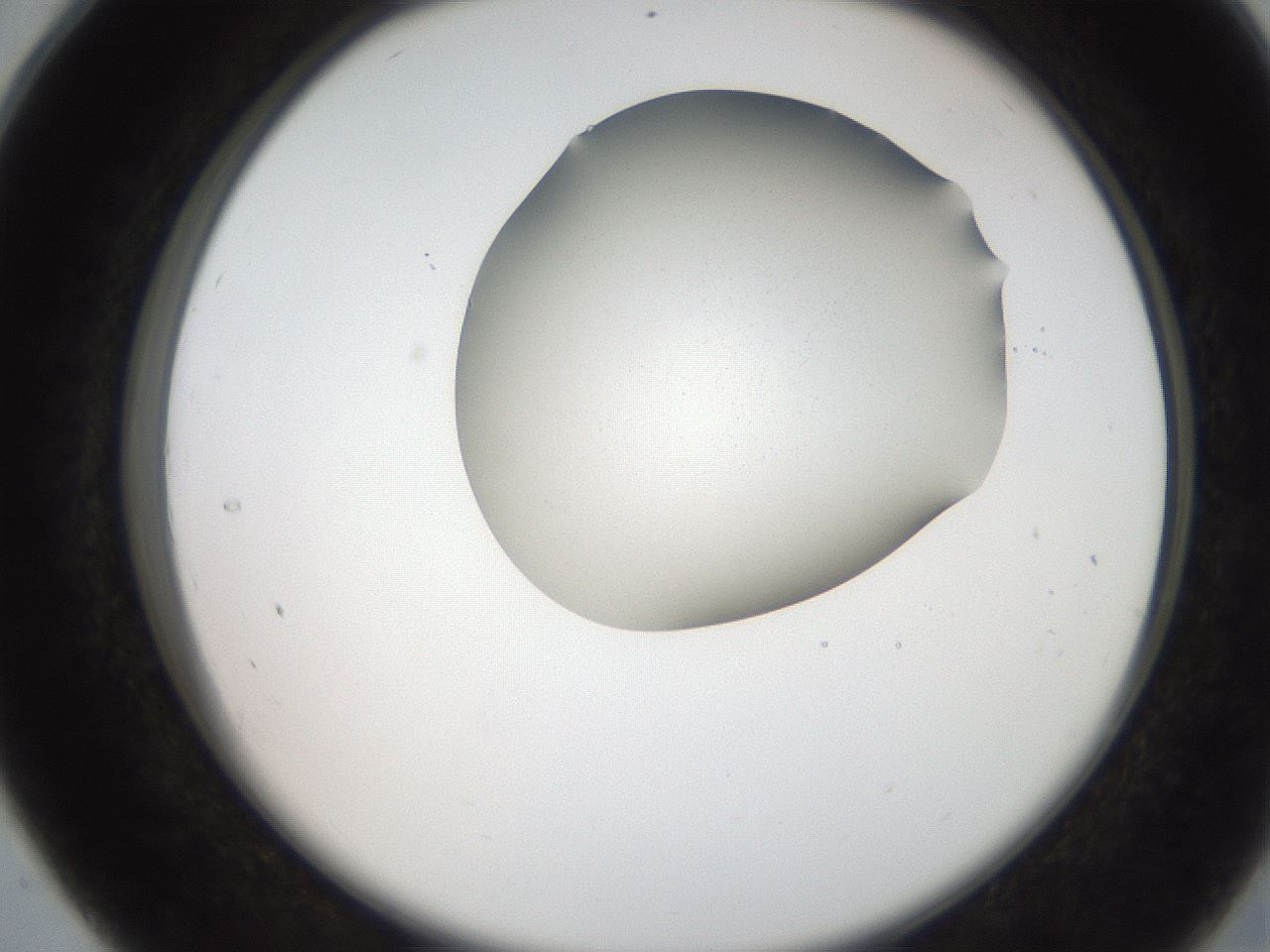 folderID207_plateID2207_batchID10014_wellNum28_profileID1_d2_r150190_ef.jpg