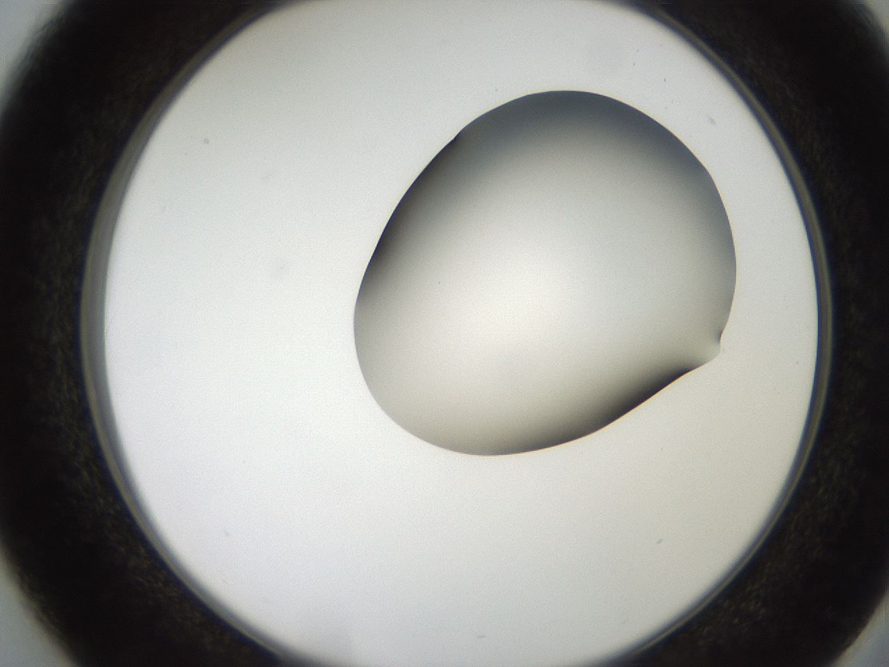 folderID207_plateID2207_batchID10014_wellNum37_profileID1_d2_r150208_ef.jpg