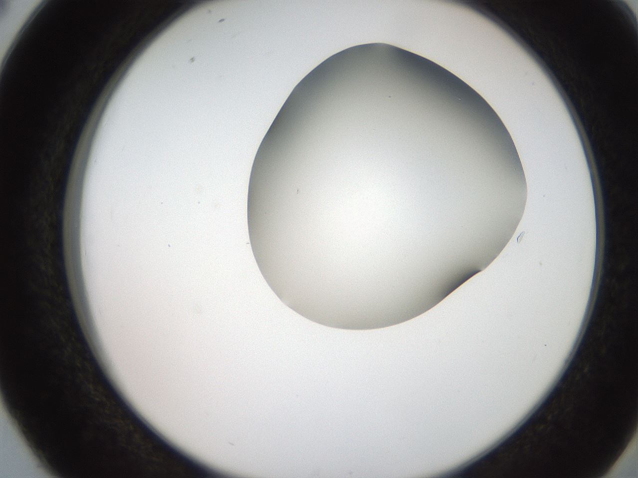 folderID207_plateID2207_batchID10014_wellNum38_profileID1_d2_r150210_ef.jpg