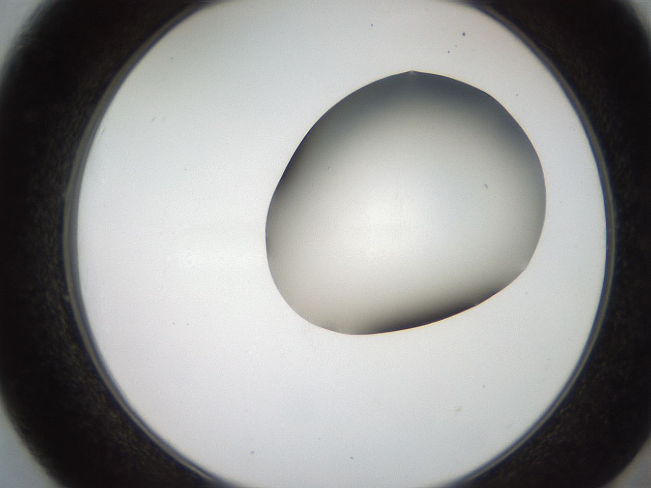 folderID207_plateID2207_batchID10014_wellNum49_profileID1_d2_r150232_ef.jpg