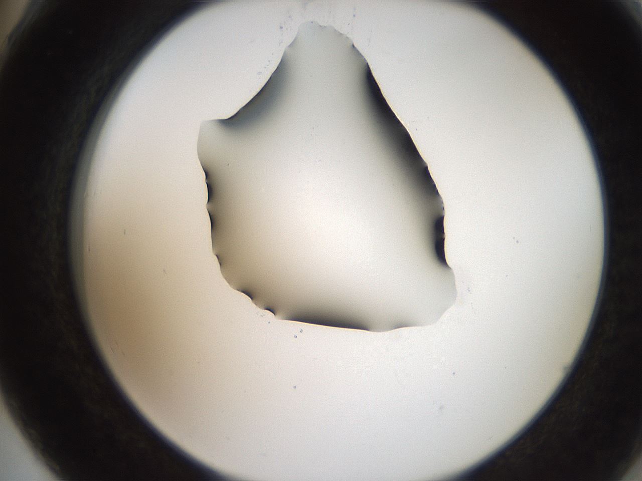 folderID207_plateID2207_batchID10014_wellNum78_profileID1_d2_r150290_ef.jpg