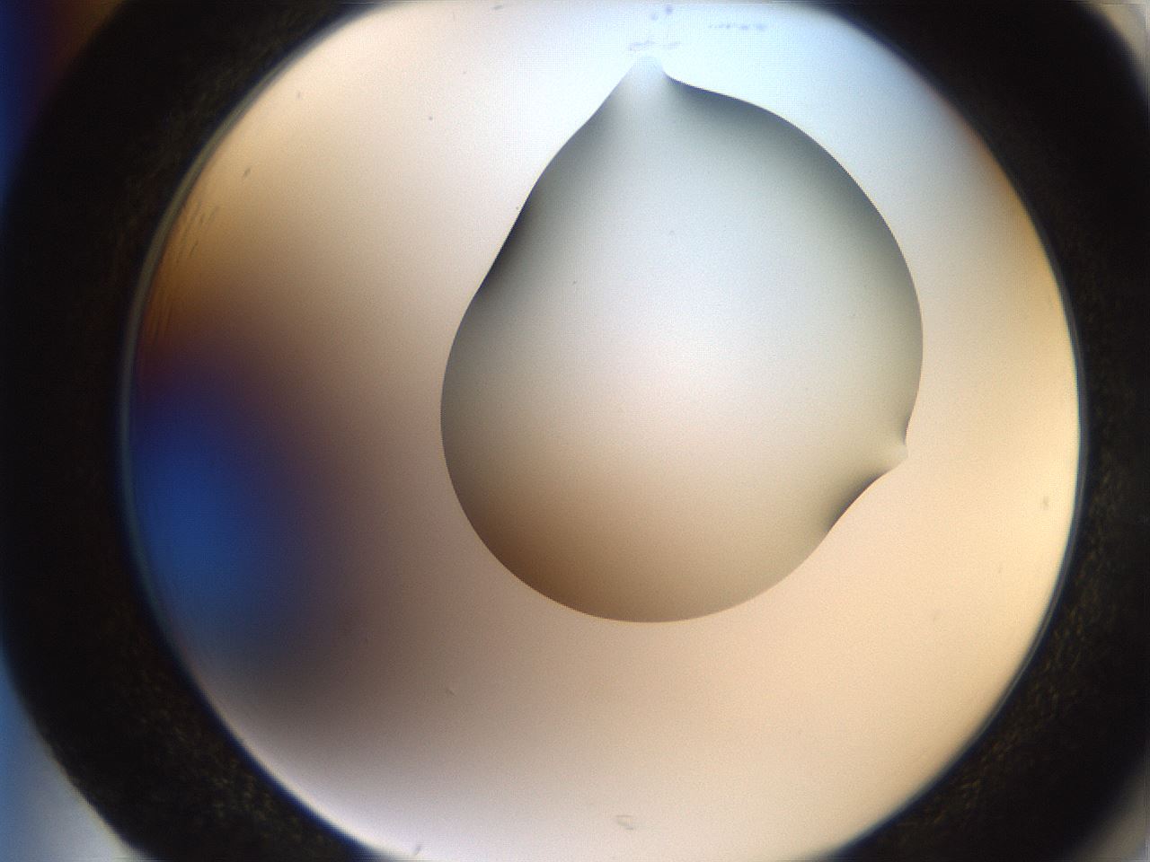 folderID207_plateID2207_batchID10014_wellNum85_profileID1_d2_r150304_ef.jpg