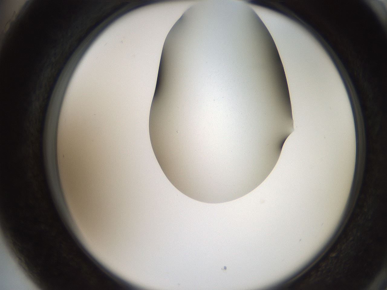 folderID207_plateID2207_batchID10014_wellNum89_profileID1_d2_r150312_ef.jpg
