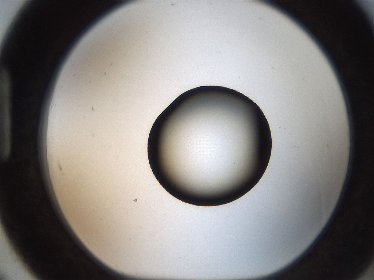 folderID207_plateID2207_batchID10014_wellNum91_profileID1_d1_r150315_ef.jpg