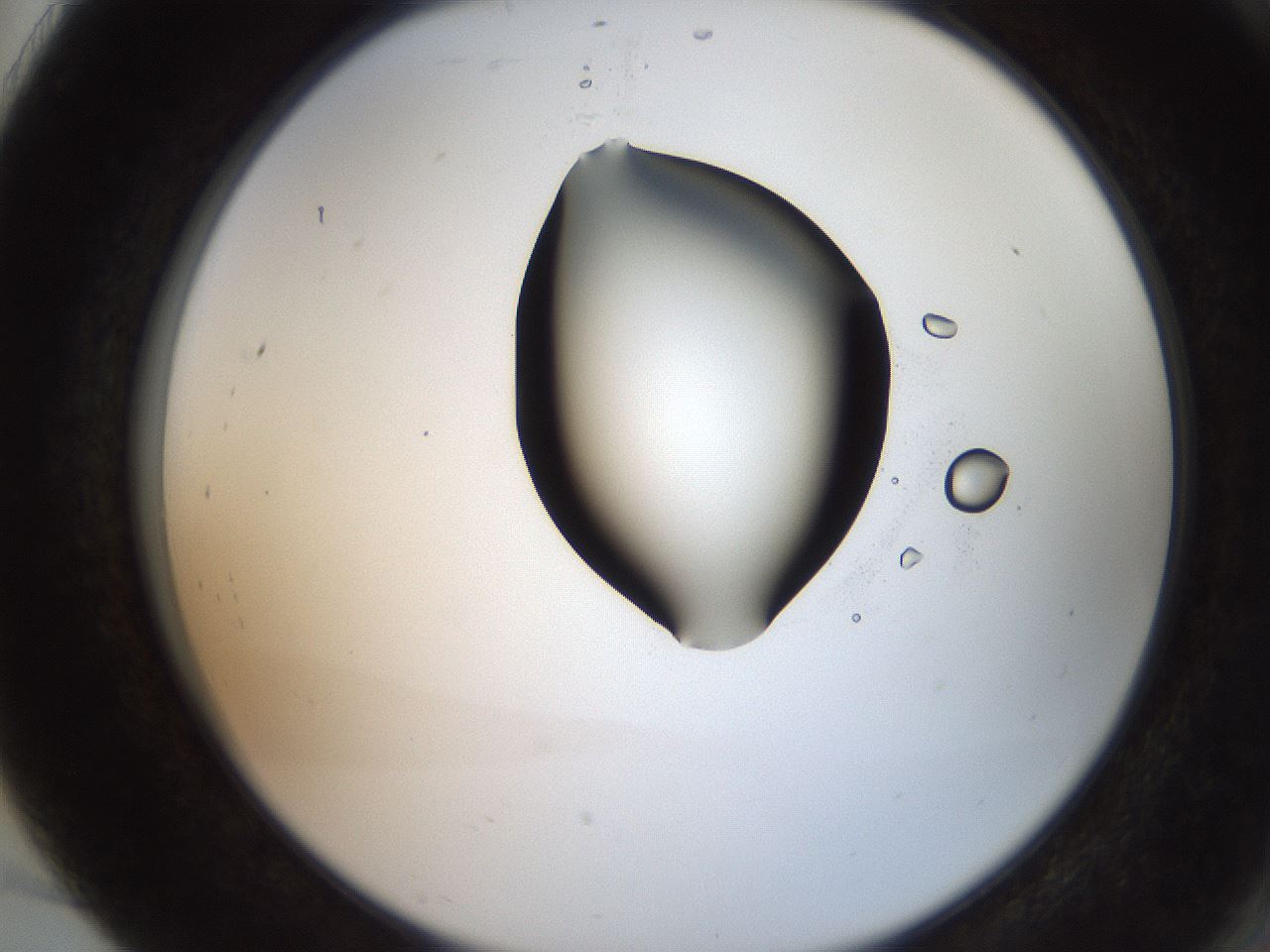 folderID207_plateID2207_batchID10014_wellNum91_profileID1_d2_r150316_ef.jpg