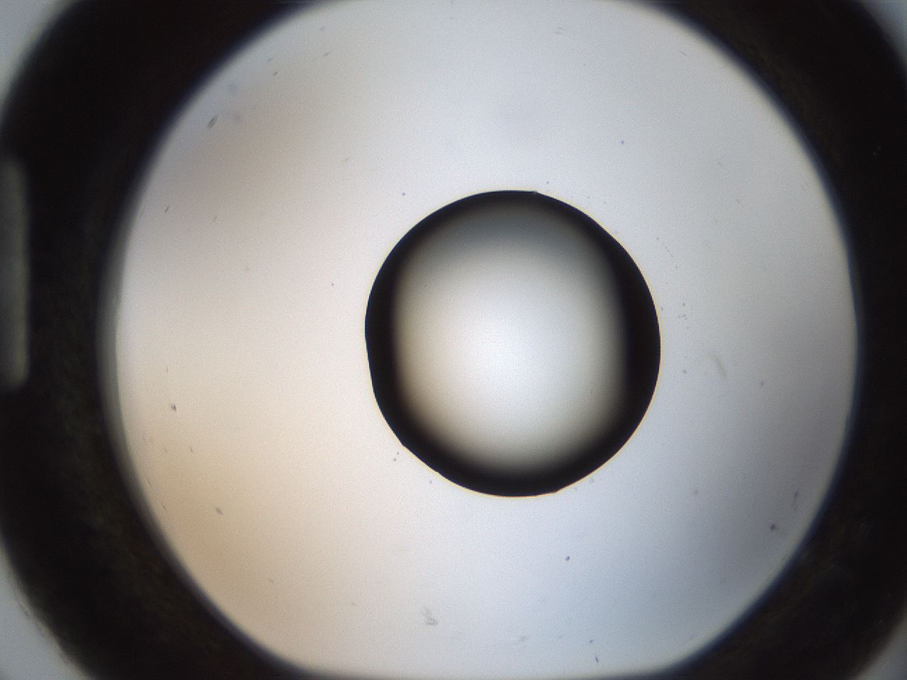 folderID207_plateID2207_batchID10014_wellNum92_profileID1_d1_r150317_ef.jpg