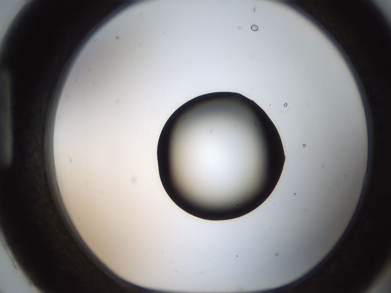 folderID207_plateID2207_batchID10014_wellNum93_profileID1_d1_r150319_ef.jpg