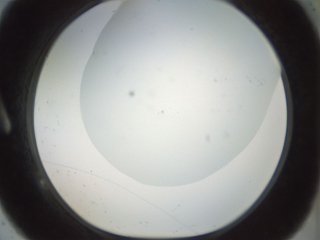 folderID207_plateID1207_batchID3655_wellNum9_profileID1_d1_r67632_ef.jpg