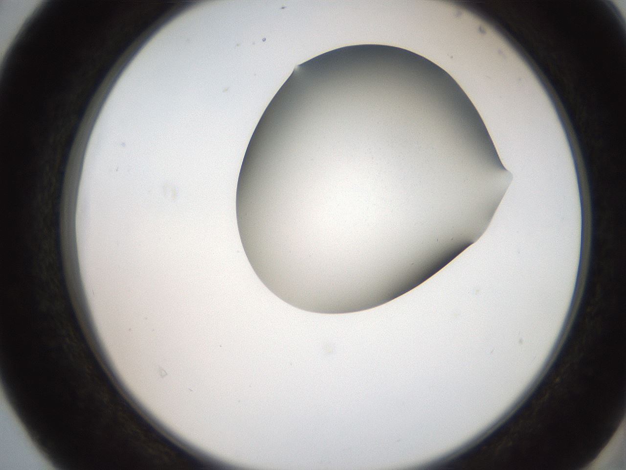 folderID207_plateID2207_batchID10014_wellNum40_profileID1_d2_r150214_ef.jpg