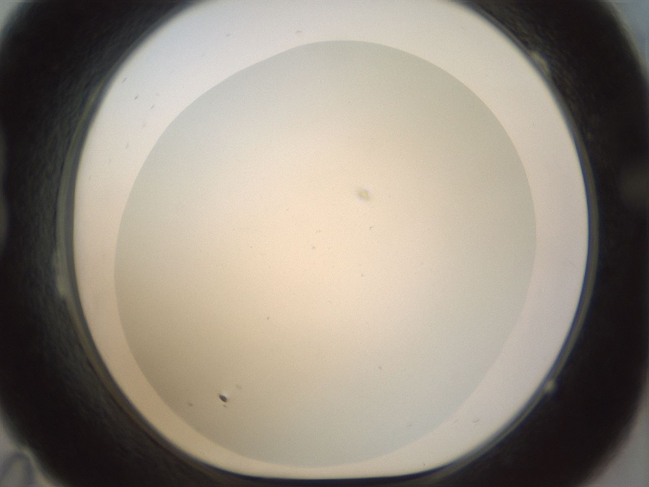 folderID208_plateID1208_batchID3624_wellNum23_profileID1_d1_r68620_ef.jpg