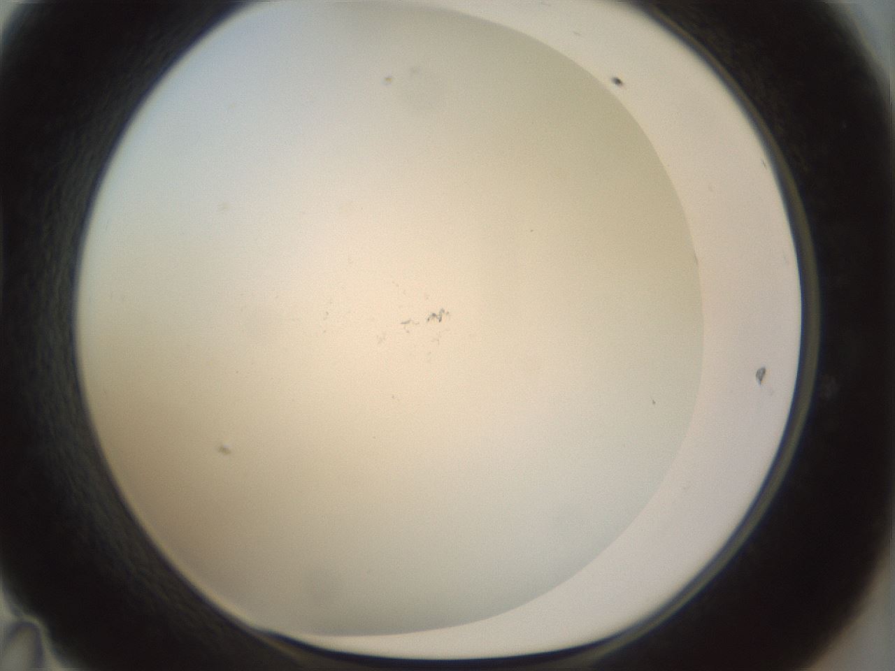 folderID208_plateID1208_batchID3624_wellNum47_profileID1_d1_r68668_ef.jpg