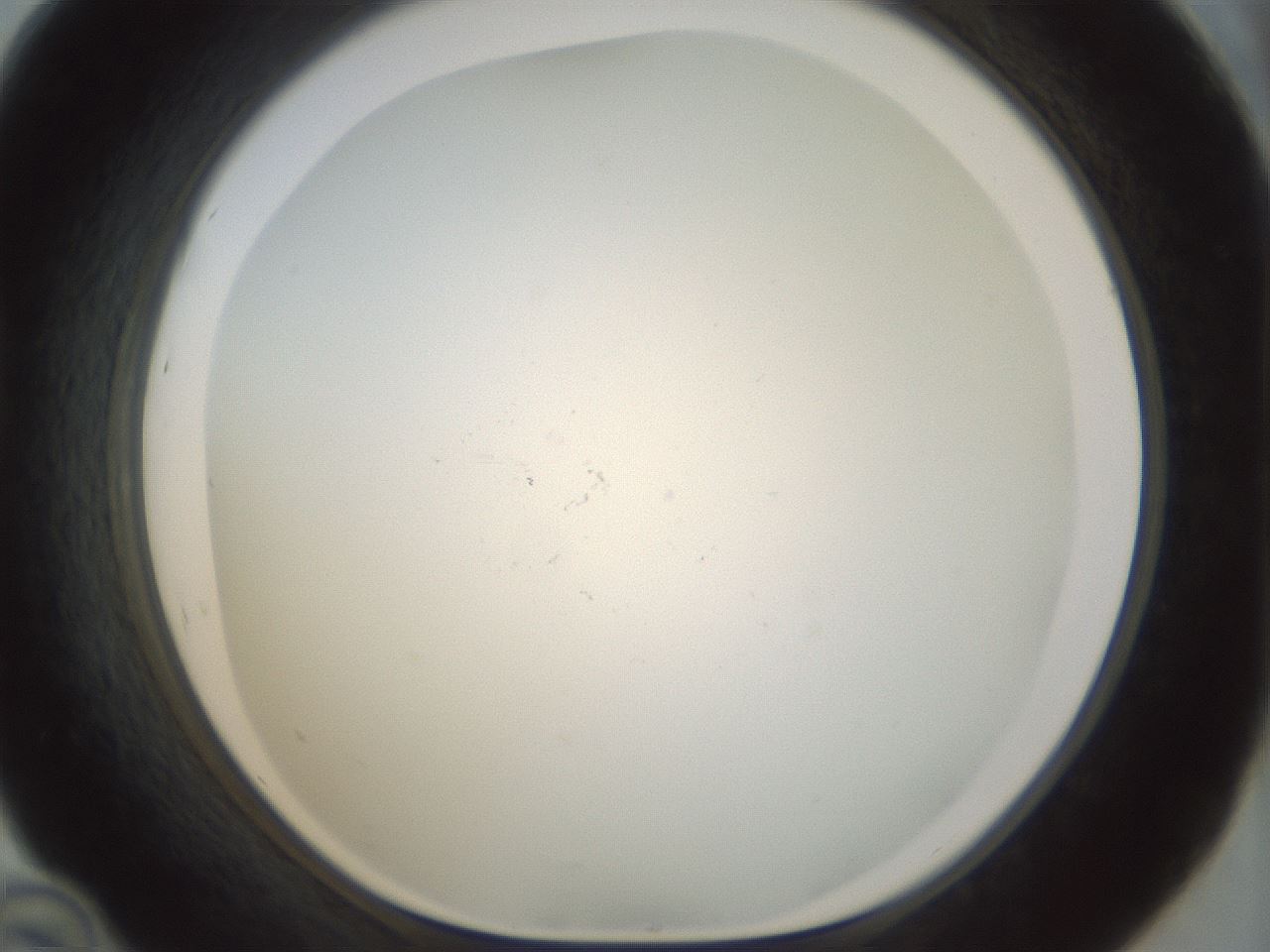 folderID208_plateID1208_batchID3624_wellNum46_profileID1_d1_r68666_ef.jpg