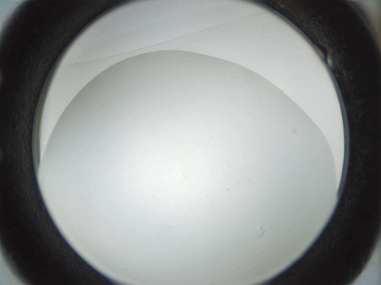 folderID208_plateID1208_batchID3624_wellNum49_profileID1_d1_r68672_ef.jpg