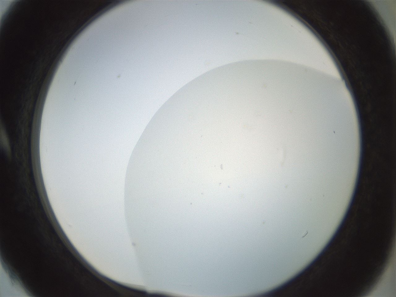 folderID208_plateID1208_batchID3624_wellNum4_profileID1_d1_r68582_ef.jpg