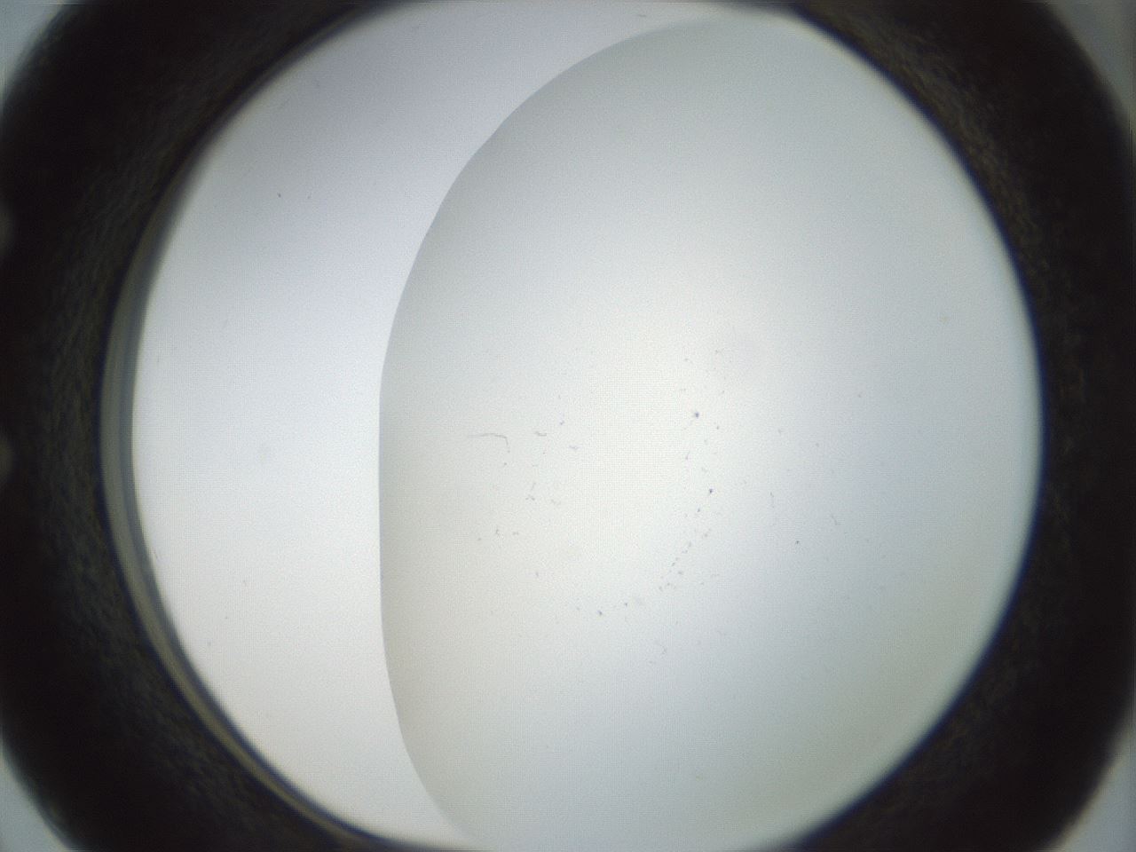 folderID208_plateID1208_batchID3624_wellNum50_profileID1_d1_r68674_ef.jpg