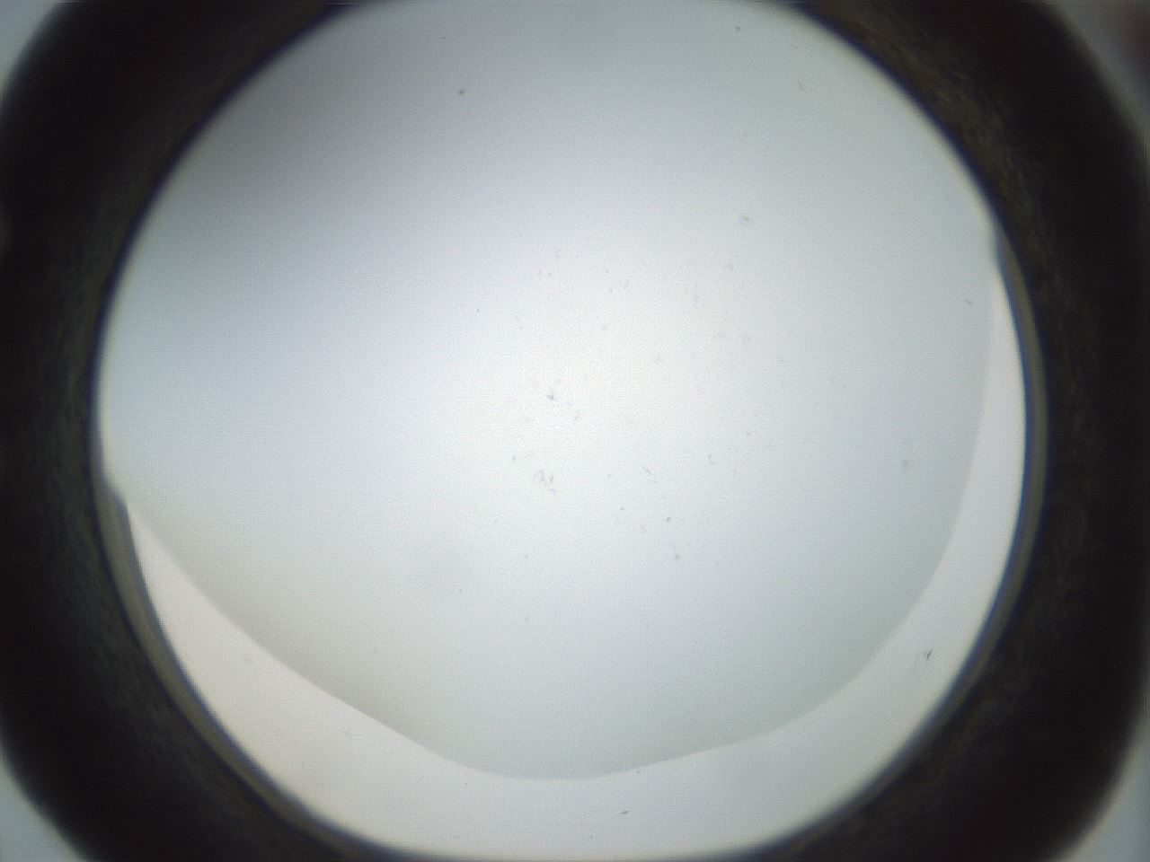 folderID208_plateID1208_batchID3624_wellNum52_profileID1_d1_r68678_ef.jpg