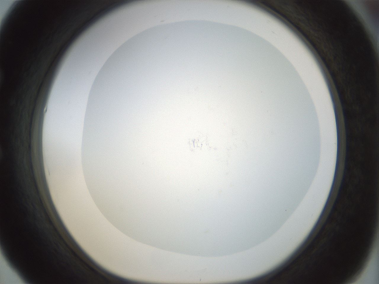 folderID208_plateID1208_batchID3624_wellNum53_profileID1_d1_r68680_ef.jpg