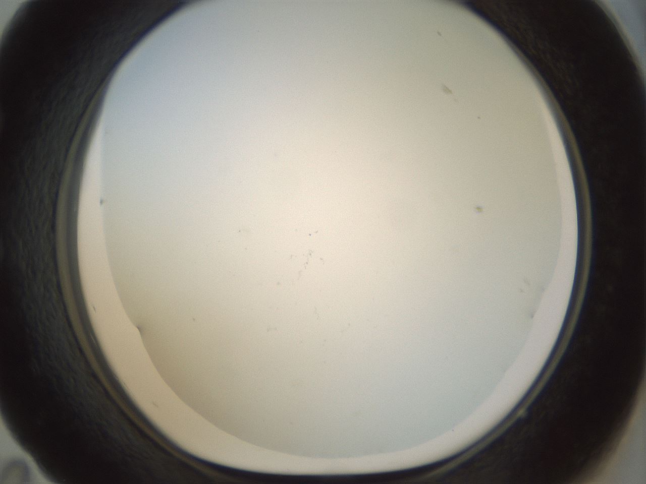folderID208_plateID1208_batchID3624_wellNum59_profileID1_d1_r68692_ef.jpg
