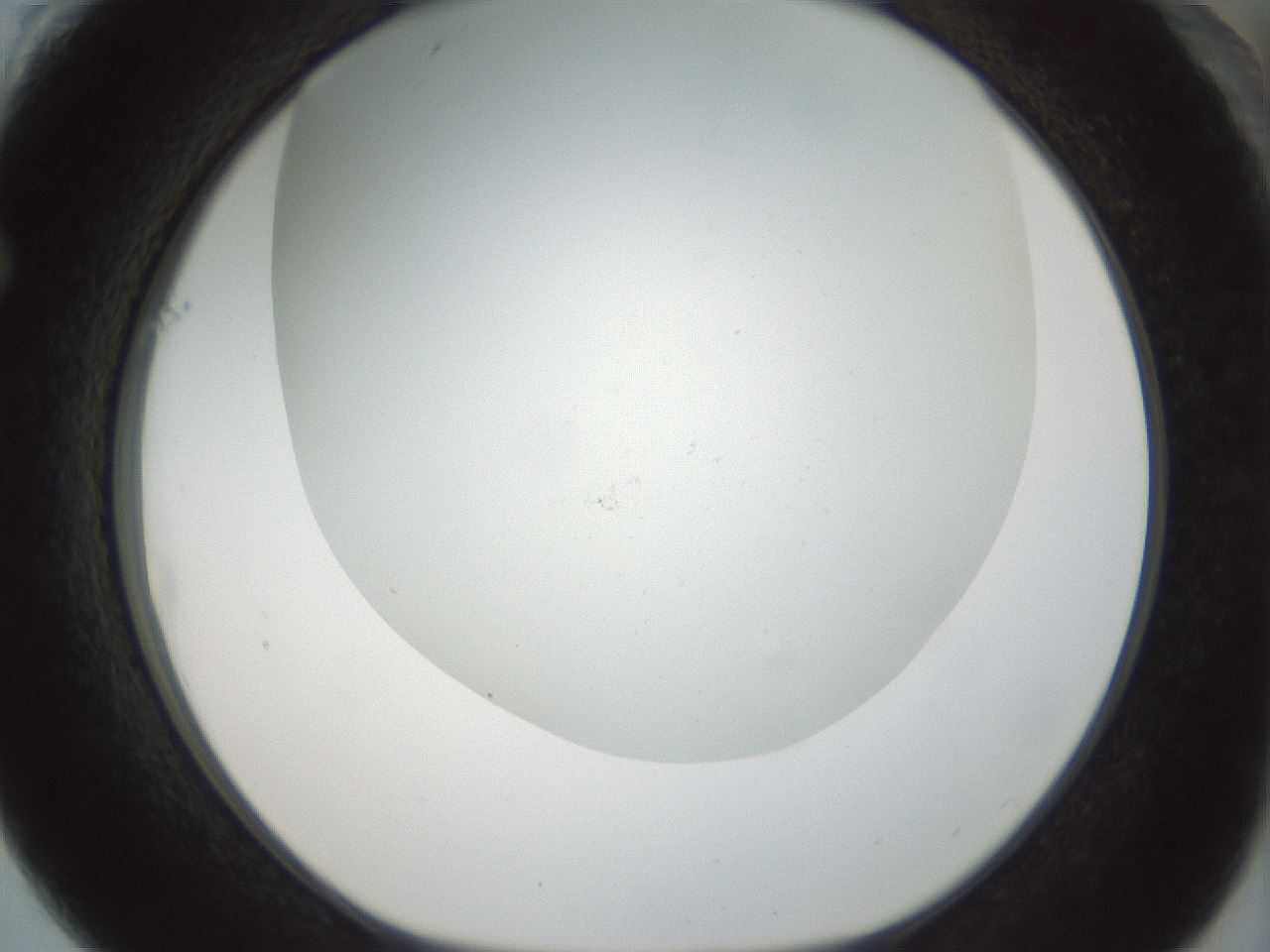 folderID208_plateID1208_batchID3624_wellNum61_profileID1_d1_r68696_ef.jpg