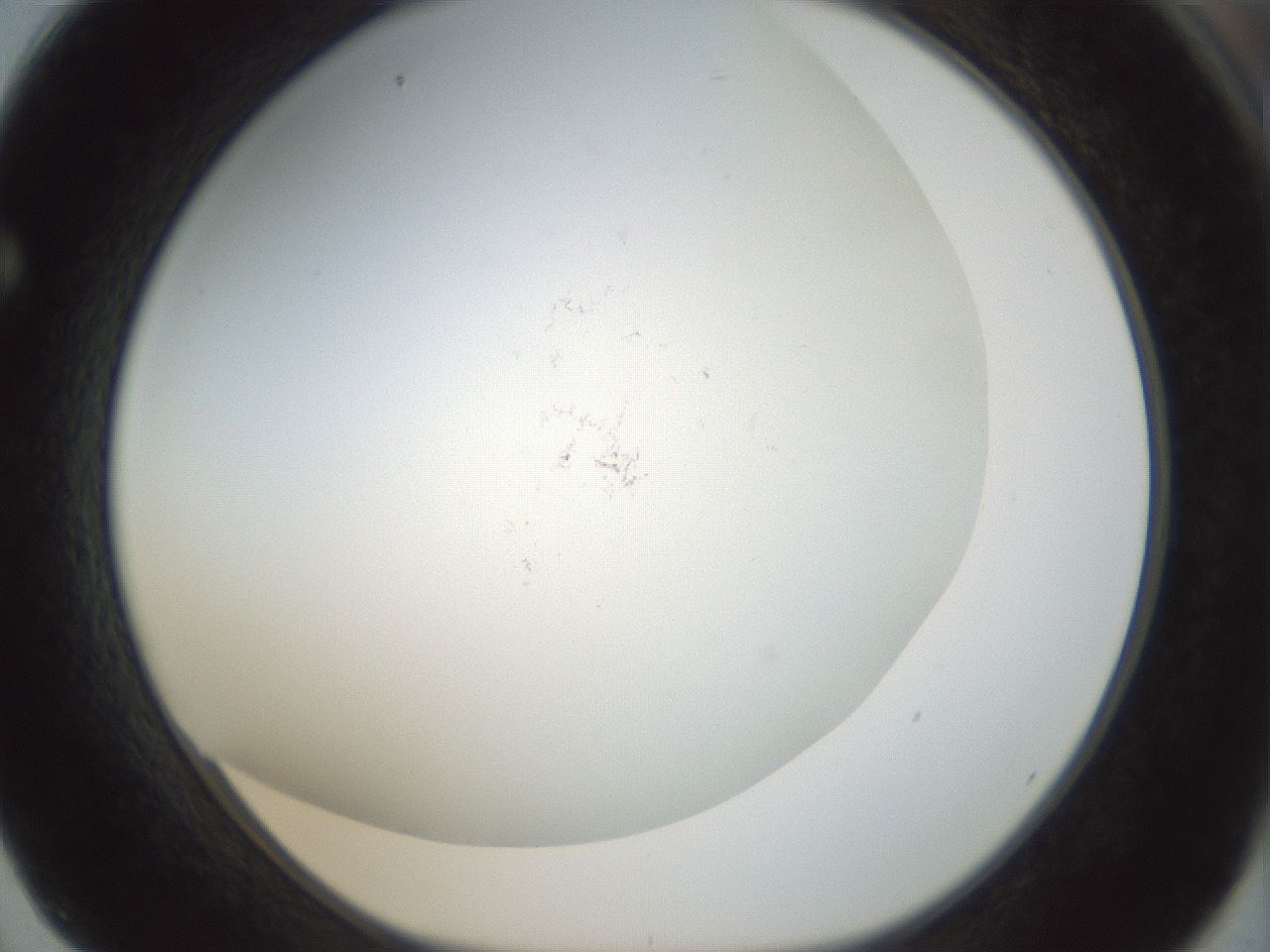 folderID208_plateID1208_batchID3624_wellNum62_profileID1_d1_r68698_ef.jpg