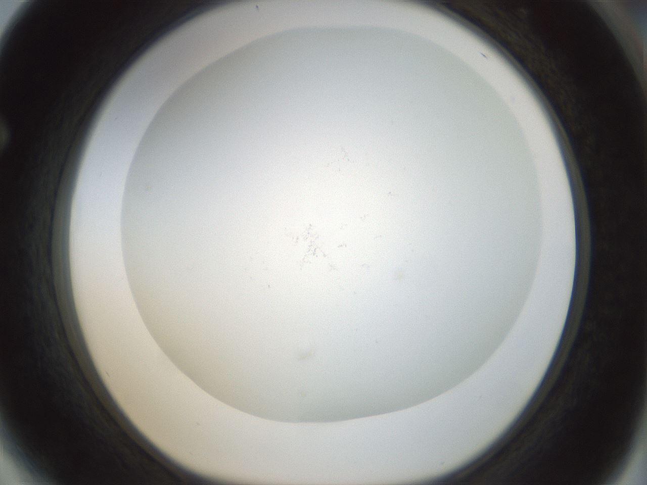 folderID208_plateID1208_batchID3624_wellNum64_profileID1_d1_r68702_ef.jpg