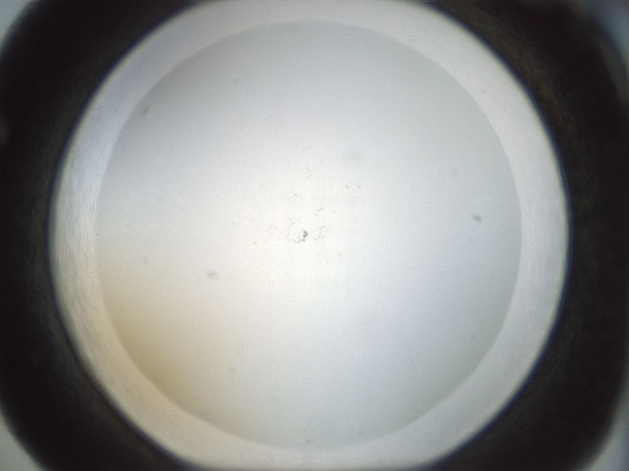 folderID208_plateID1208_batchID3624_wellNum65_profileID1_d1_r68704_ef.jpg